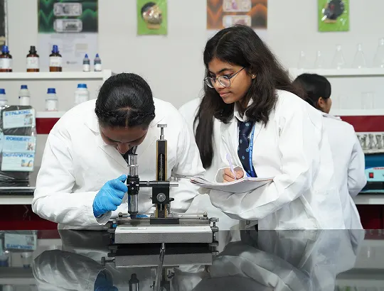 Full Time International Degree Programs