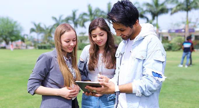 Cultivating Worldwide Networks